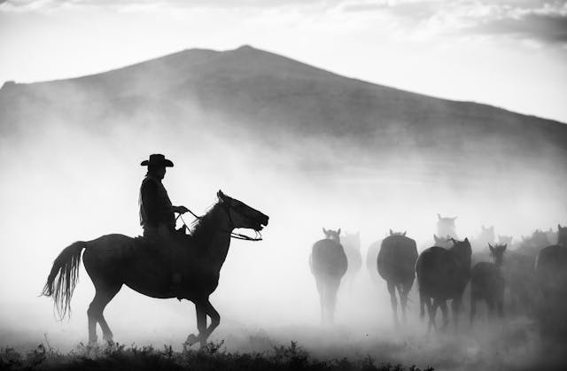 Lonesome Dove–worth a read and a&nbsp;re-read